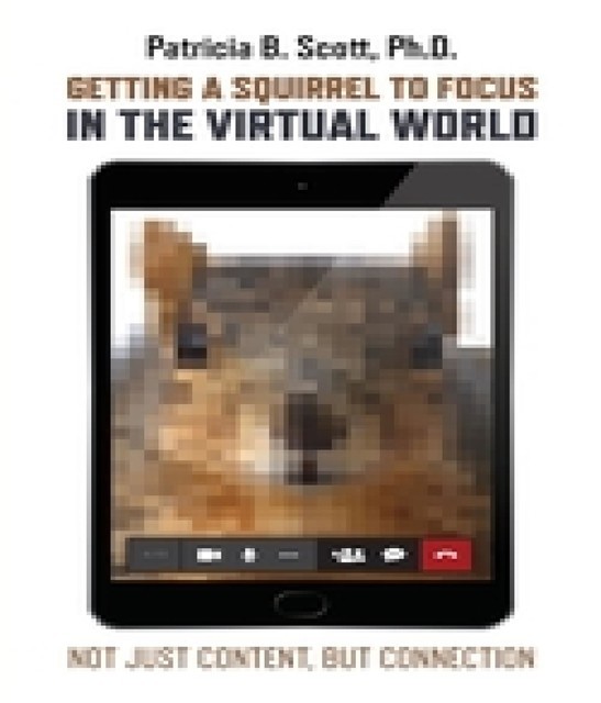 Getting a Squirrel to Focus in the Virtual World, Patricia B Scott