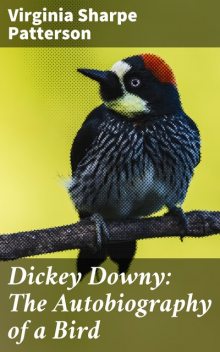 Dickey Downy: The Autobiography of a Bird, Virginia Sharpe Patterson