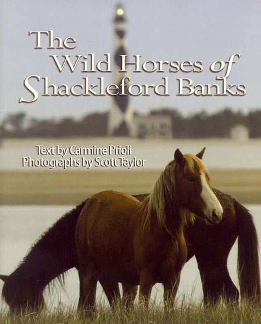 Wild Horses of Shackleford Banks, Scott Taylor, Carmine Prioli