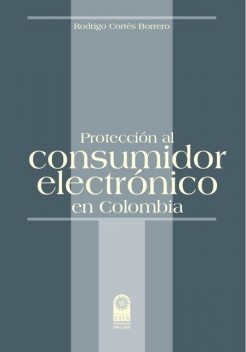 Protección al consumidor electrónico en Colombia, Rodrigo Cortés Borrero