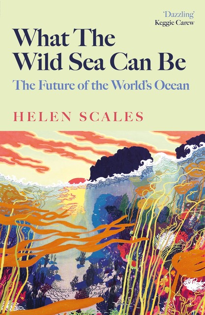 What the Wild Sea Can Be, Helen Scales