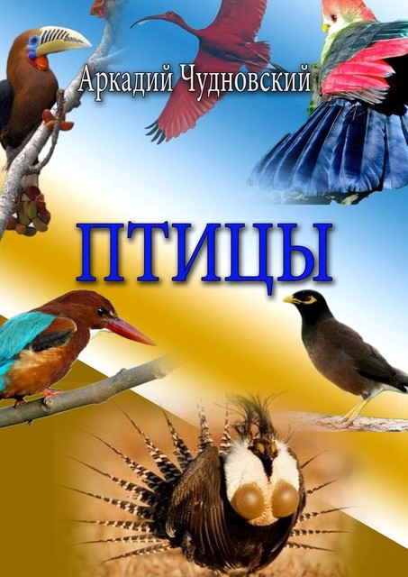 Птицы, Аркадий Чудновский