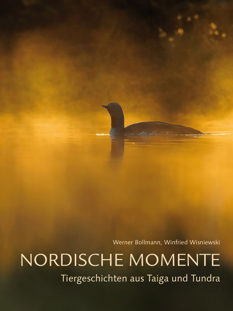 Nordische Momente, Werner Bollmann