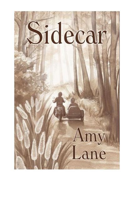 Sidecar, Amy Lane