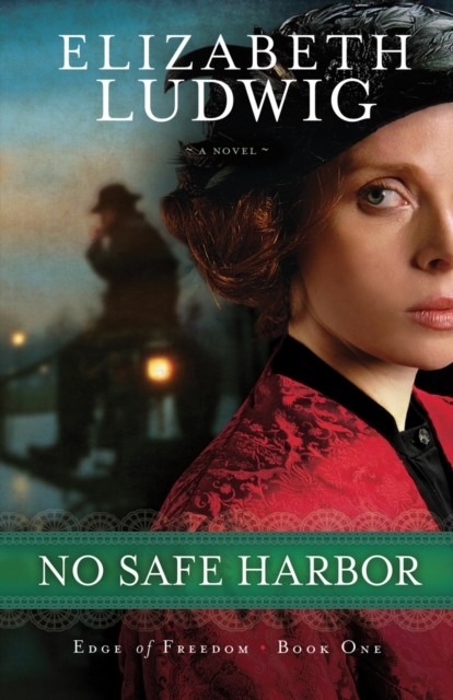 No Safe Harbor (Edge of Freedom Book #1), Elizabeth Ludwig