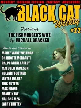Black Cat Weekly #22, Wildside Press