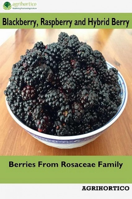Blackberry, Raspberry and Hybrid Berry, Agrihortico CPL