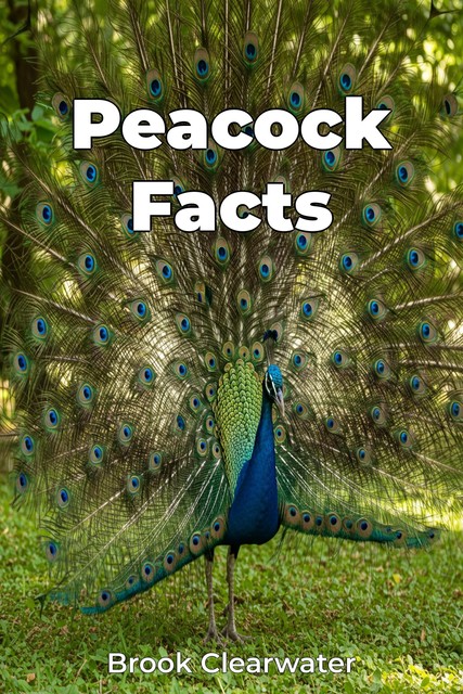 Peacock Facts, Brook Clearwater