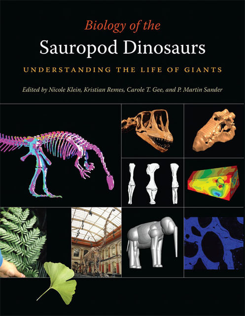 Biology of the Sauropod Dinosaurs, Carole T.Gee, Kristian Remes, Nicole Klein, P.Martin Sander