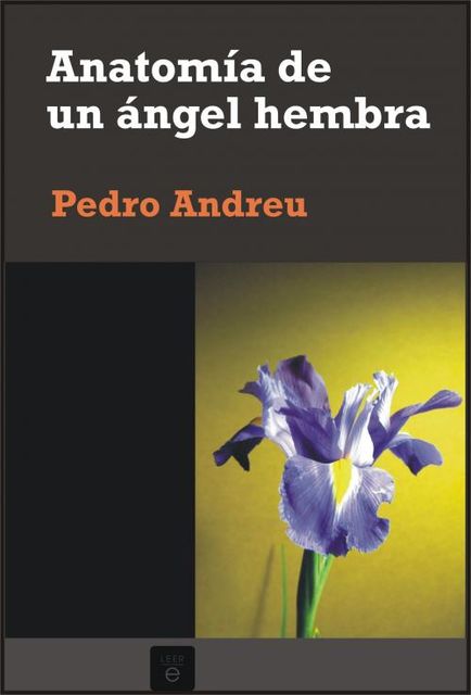 Anatomía de un ángel hembra, Pedro Andreu