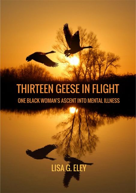 Thirteen Geese in Flight, Lisa Eley