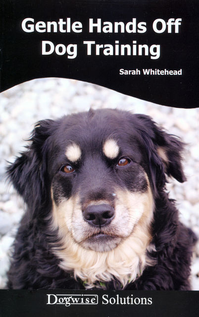 GENTLE HANDS OFF DOG TRAINING, Sarah Whitehead