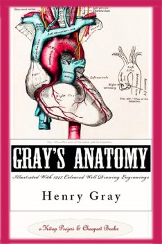 Gray’s Anatomy (Illustrated With 1247 Coloured Well Drawing Engrawings), Henry Gray