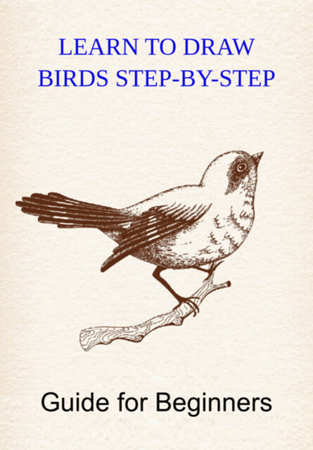 Learn To Draw Birds Step-by-step, Jideon F Marques