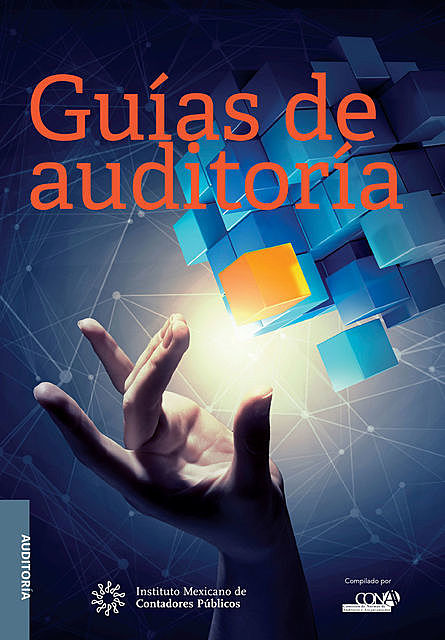 Guías de auditorÍa, COMISIÓN DE NORMAS DE AUDITORÍA Y ASEGURAMIENTO