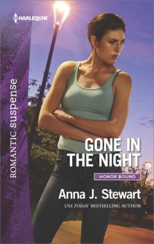 Gone in the Night, Anna J. Stewart