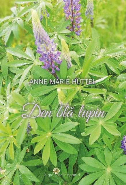 Den blå lupin, Anne-Marie Hüttel