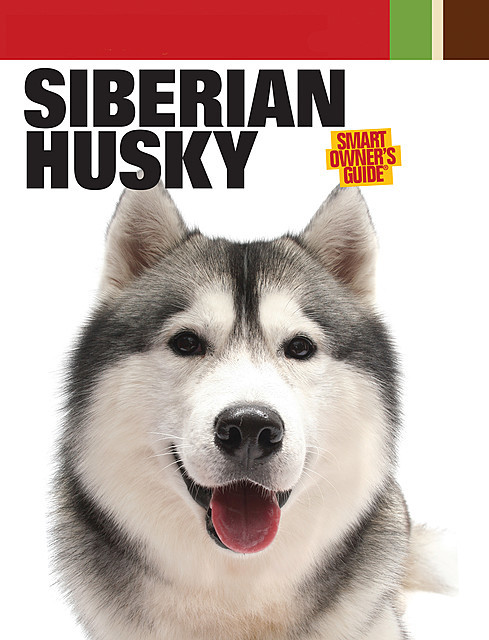 Siberian Husky, Dog Fancy Magazine
