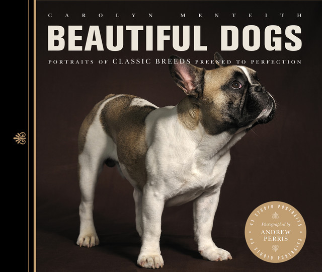 Beautiful Dogs, Carolyn Menteith