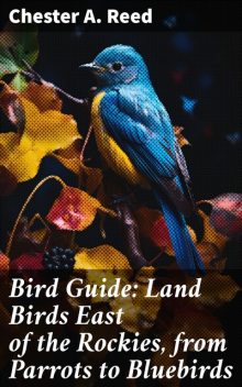 Bird Guide: Land Birds East of the Rockies, from Parrots to Bluebirds, Chester A.Reed
