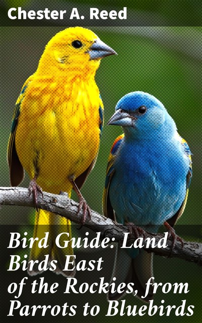 Bird Guide: Land Birds East of the Rockies, from Parrots to Bluebirds, Chester A.Reed