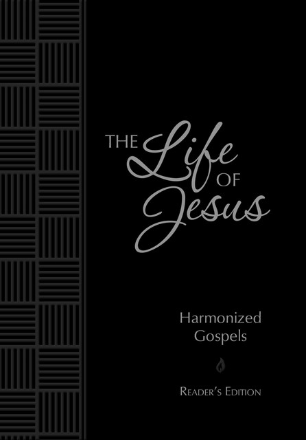 The Life of Jesus, Brian Simmons