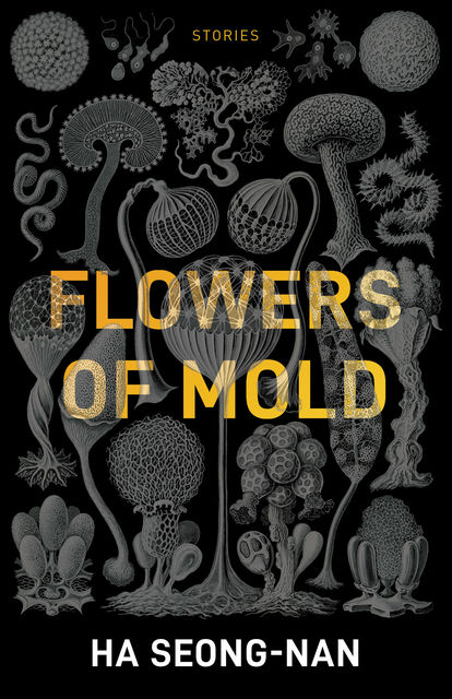 Flowers of Mold, Ha Seong-Nan