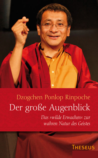 Der große Augenblick, Dzogchen Ponlop Rinpoche