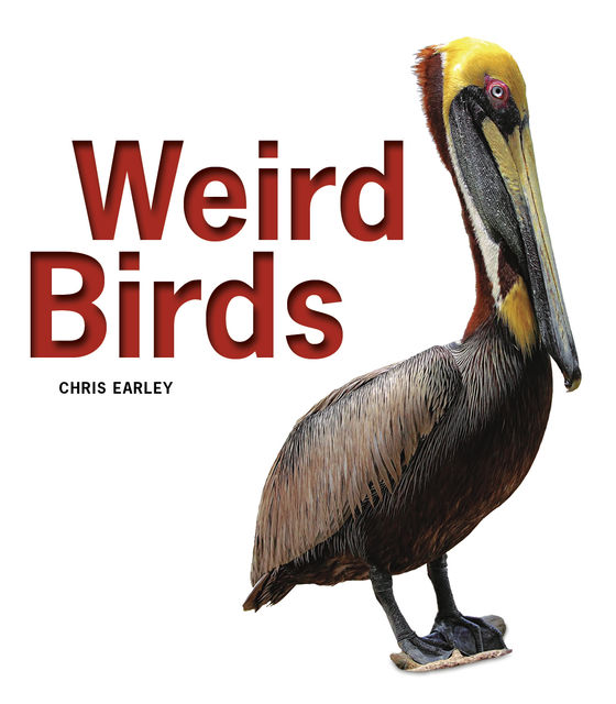 Weird Birds, Chris Earley