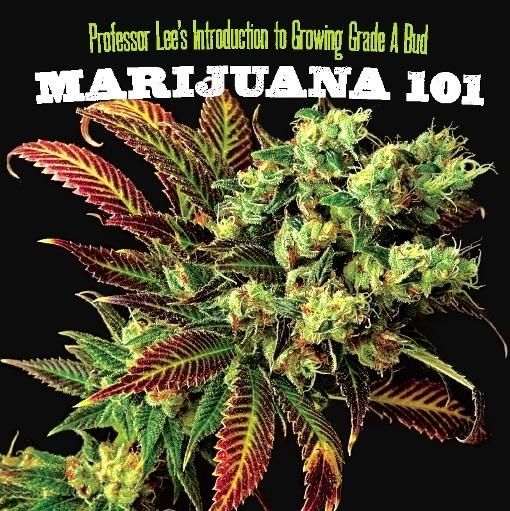 Marijuana 101, Lee