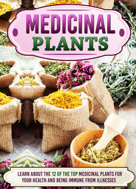 Medicinal Plants Learn About The 12 Of The Top Medicinal Plants For Your Health And Being Immune From Illnesses, Old Natural Ways