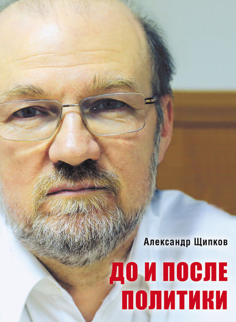 До и после политики, Александр Щипков