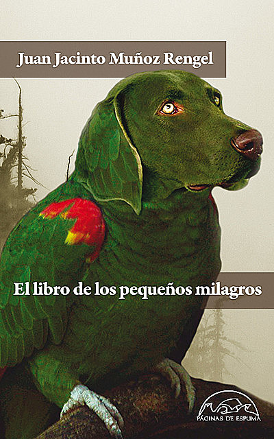 El libro de los pequeños milagros, Juan Jacinto Muñoz Rengel