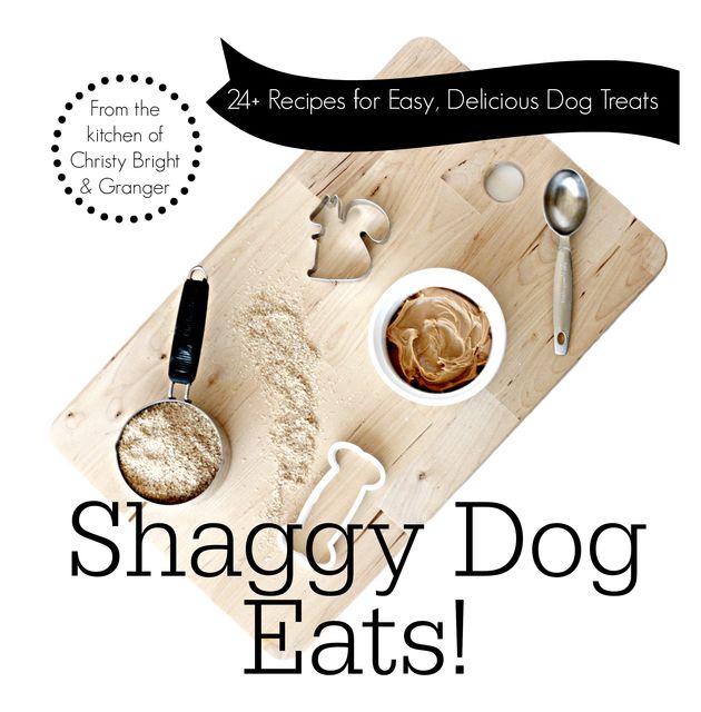 Shaggy Dog Eats!: 24+ Recipes for Easy, Delicious Dog Treats, Christy Bright