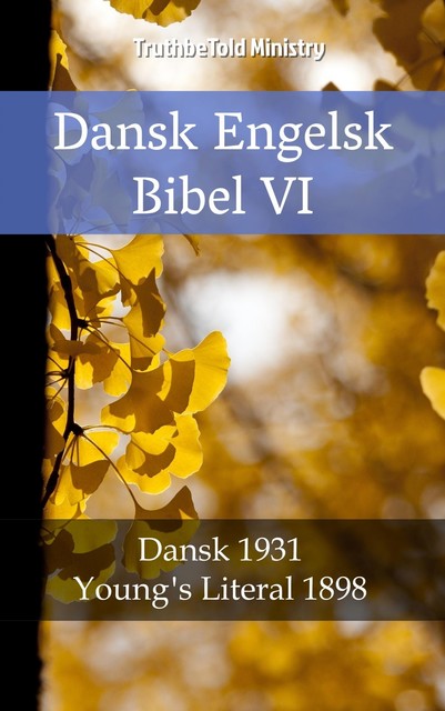 Dansk Engelsk Bibel VI, Joern Andre Halseth