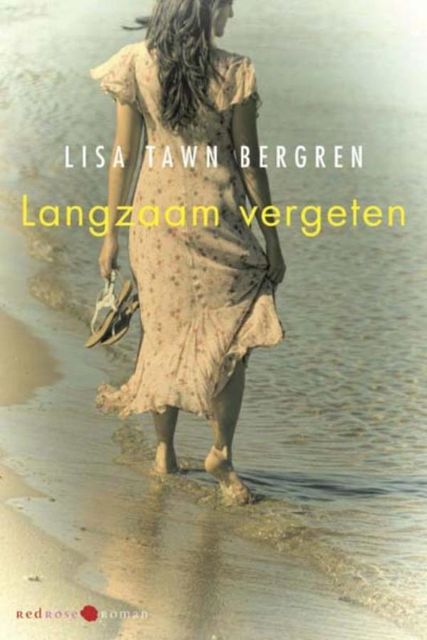 Langzaam vergeten, Lisa Bergren