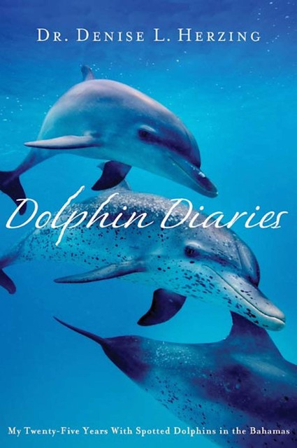 Dolphin Diaries, Denise L. Herzing