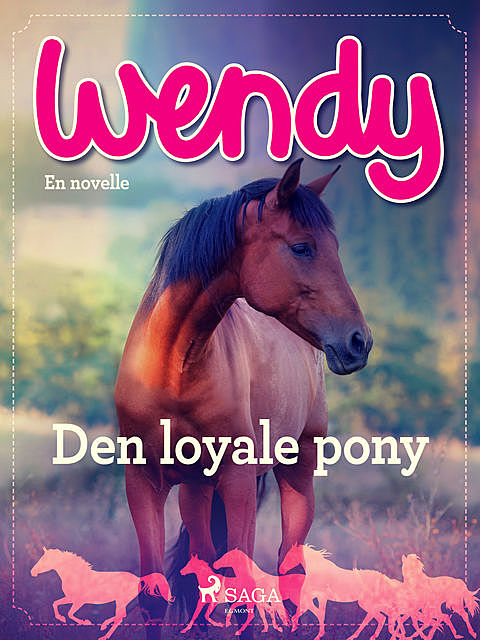 Wendy – Den loyale pony, Diverse