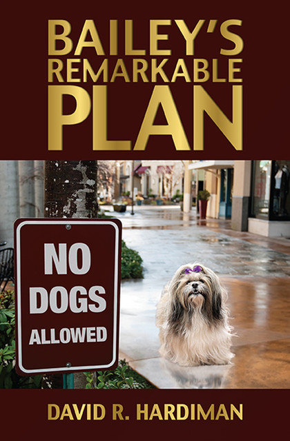 Bailey's Remarkable Plan, David R. Hardiman