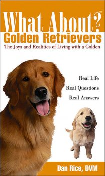 What About Golden Retrievers, 