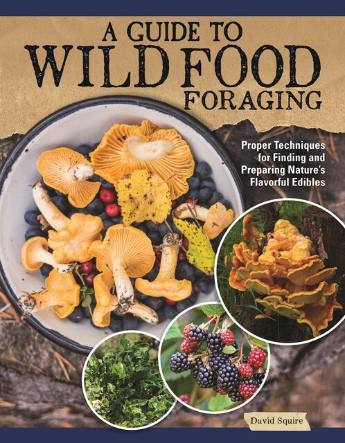 A Guide to Wild Food Foraging, David Squire