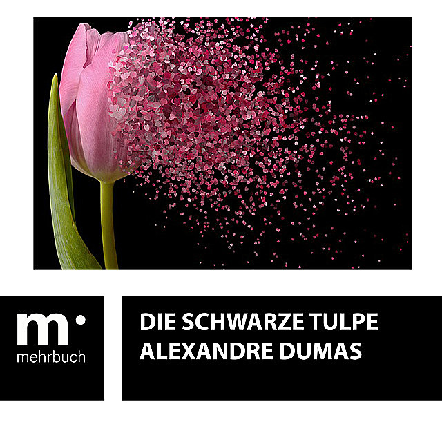 Die schwarze Tulpe, Alexandre Dumas
