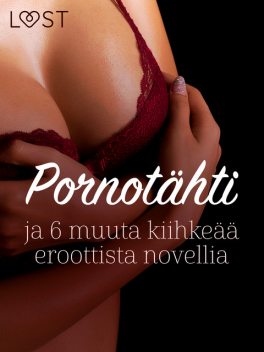 Pornotähti ja 6 muuta kiihkeää eroottista novellia, B.J. Hermansson, Malin Edholm, Camille Bech, Terne Terkildsen, Fabien Dumaître