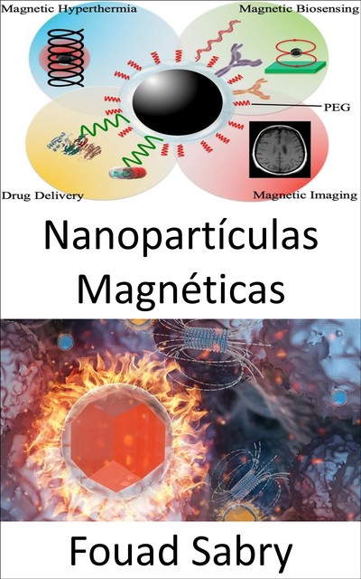 Nanopartículas Magnéticas, Fouad Sabry