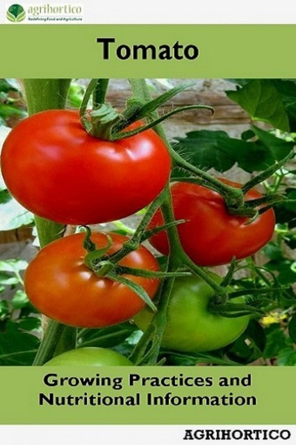 Tomato, Agrihortico CPL