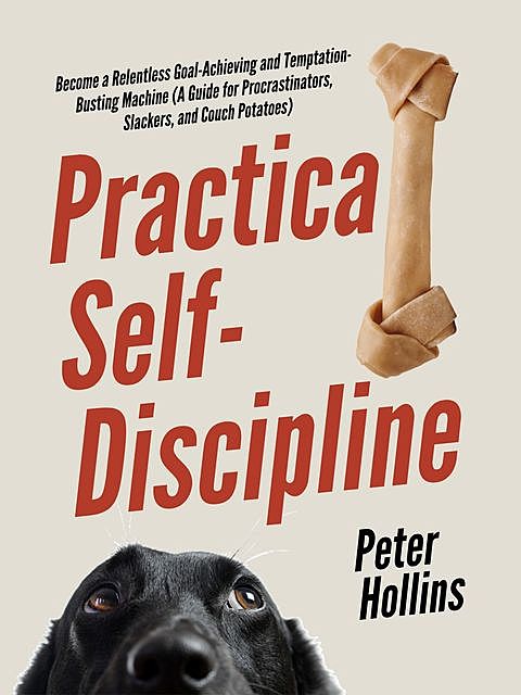 Practical Self-Discipline, Peter Hollins
