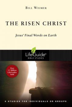 The Risen Christ (Lifebuilder Study Guides), Bill Weimer