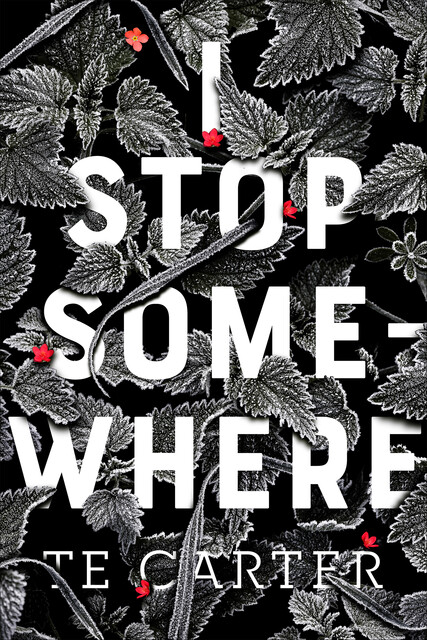 I Stop Somewhere, TE Carter