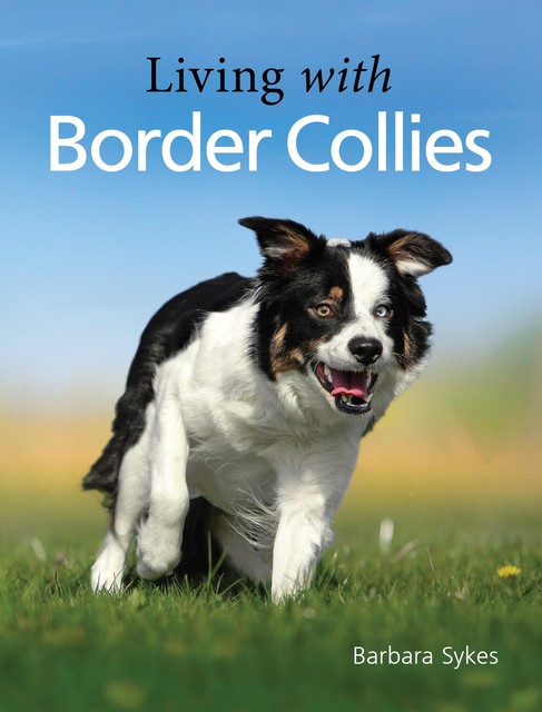 Living with Border Collies, Barbara Sykes