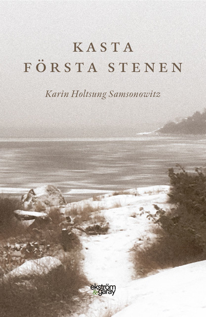 Kasta första stenen, Karin Holtsung Samsonowitz